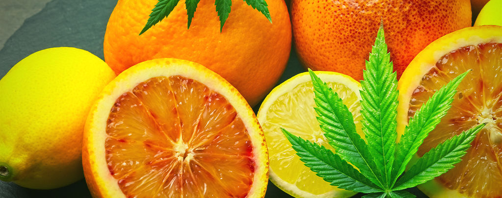 What Is Limonene In Cannabis?