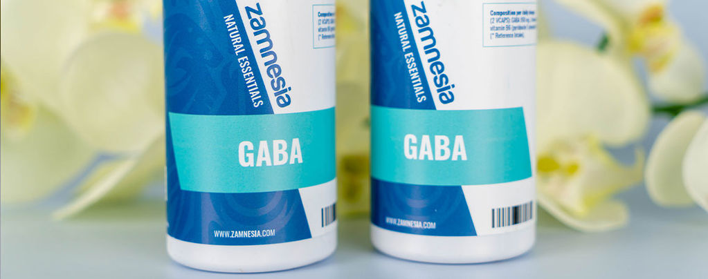 A Guide To All Things GABA (Y-Aminobutyric Acid)