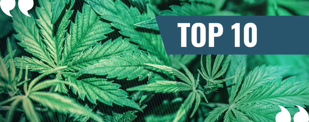 Our Top 10 Best Marijuana Quotes Of All Time
