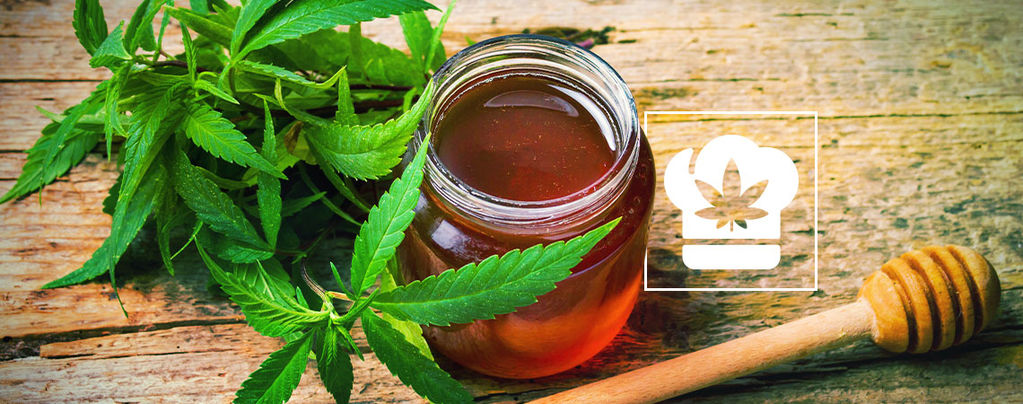 Recipe: How To Make Cannabis Infused Honey