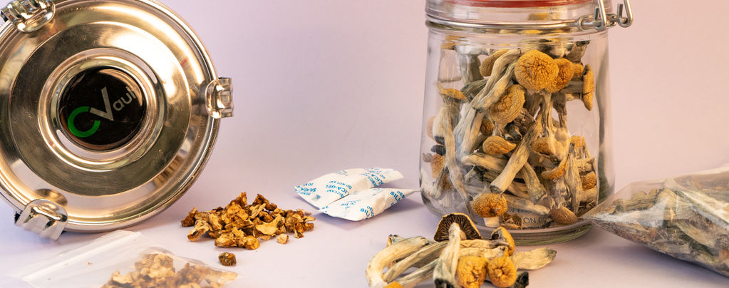 How To Store Magic Mushrooms & Truffles