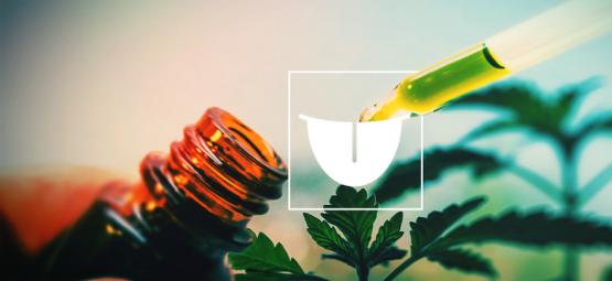 Why Using A Sublingual Cannabis Tincture Is The Best
