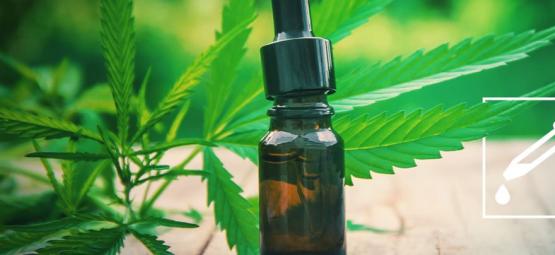 How To Make Cannabis Tincture: Step-By-Step Guide