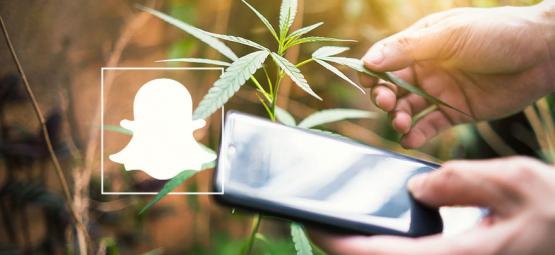 9 Cannabis Accounts To Follow On Snapchat