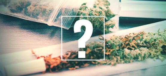 Joints, Blunts, And Spliffs: What's The Difference? 