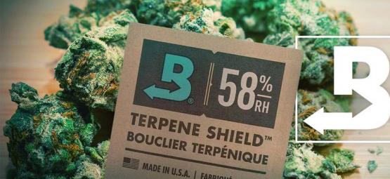 How To Keep Your Weed Extra-Fresh With Boveda