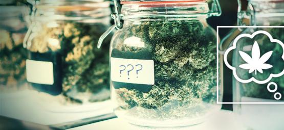 How Should We Name Cannabis Strains In The Future?