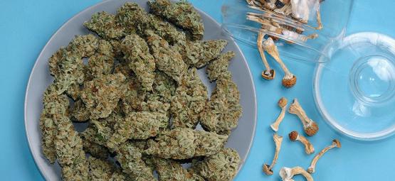 Can You Mix Weed And Magic Mushrooms?