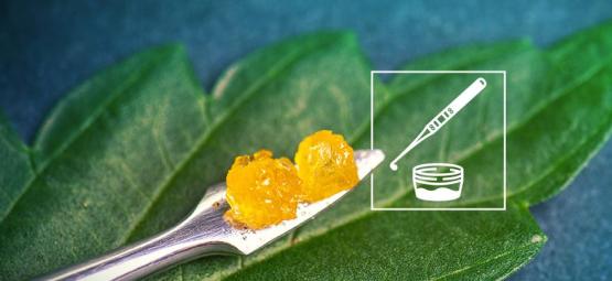 All You Need To Know About Live Resin
