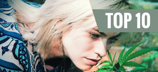 Top 10 Low-Odour Cannabis Strains To Minimise Smell