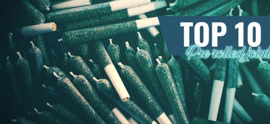 Top 10 Pre-Rolled Joints In Amsterdam