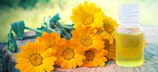 How To Make Calendula Extract & How To Use It
