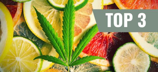 Top 3 Cannabis Strains By Terpenes