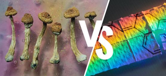 Magic Mushrooms Versus LSD: What's The Difference?