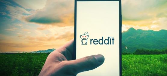Top 10 Reddit Weed Communities