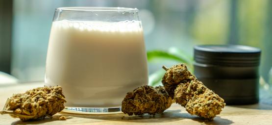 How To Make Cannabis Milk