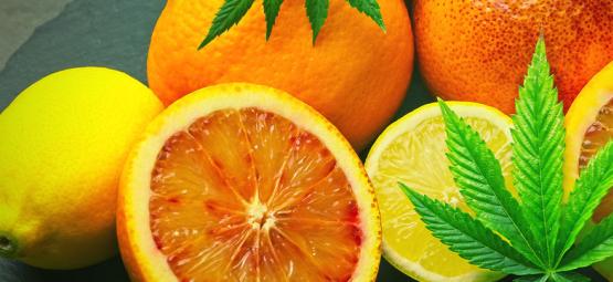 What Is Limonene In Cannabis?
