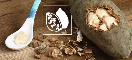 The African Treasure: Embrace The Benefits Of Baobab Powder