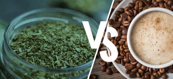 Yerba Maté Vs. Coffee: Should You Make The Switch?