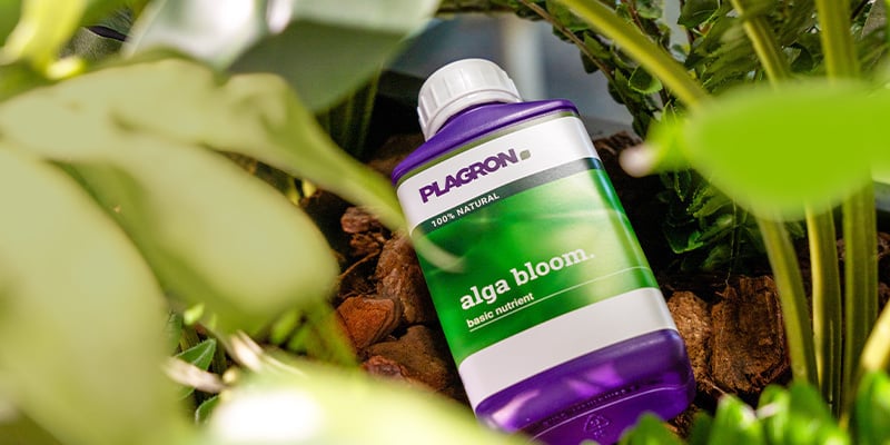 Putting it all together: Building the ideal organic nutrition plan Putting it all together: Building the ideal organic nutrition plan