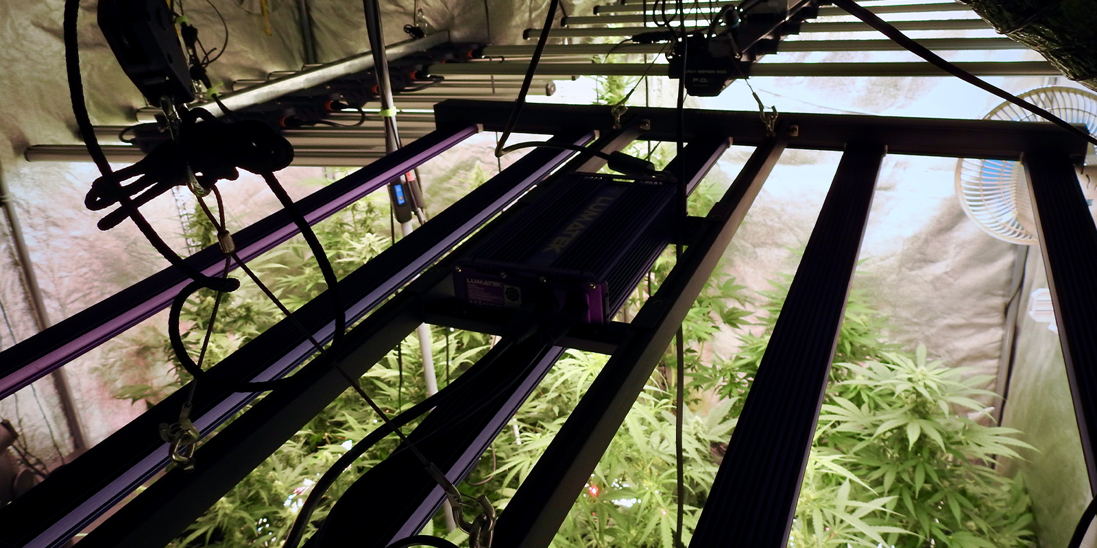 1. Check your environment 1. Check your environment