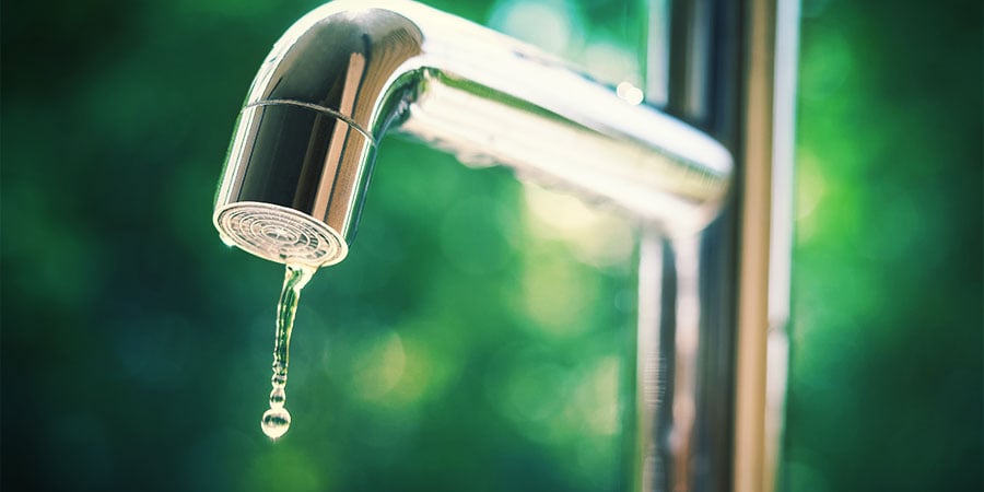 Is Tap Water Suitable For Cannabis?
