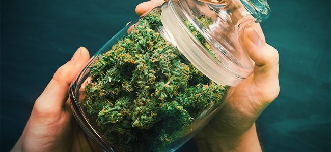 Grind Cannabis: Shake It