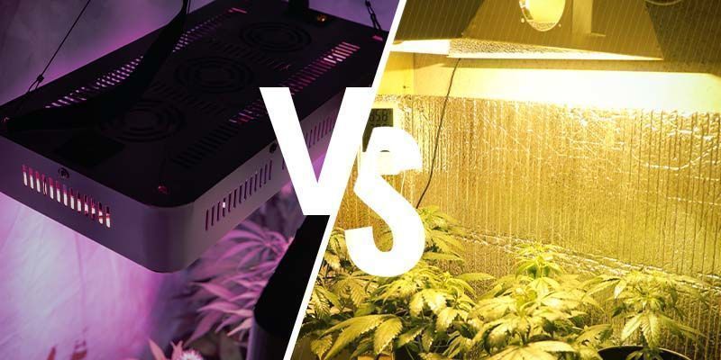 Are LED grow lights as good as HPS?