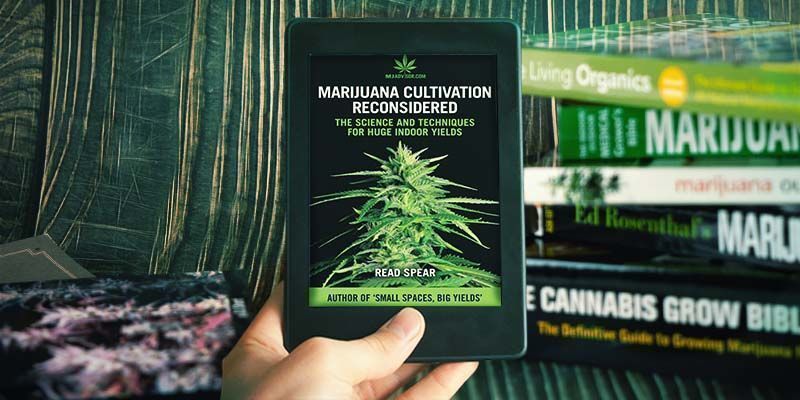 Cannabis Cultivation Reconsidered
