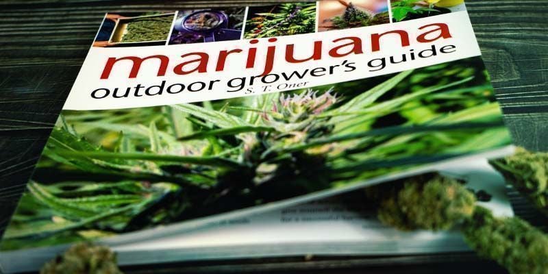 Cannabis Outdoor Grower&rsquo;s Guide