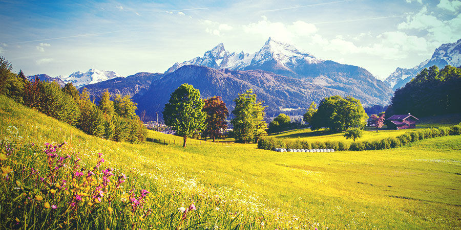 GROWING CANNABIS IN THE GERMAN CLIMATE