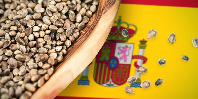Best Cannabis Seeds For Central & Mediterranean Spain