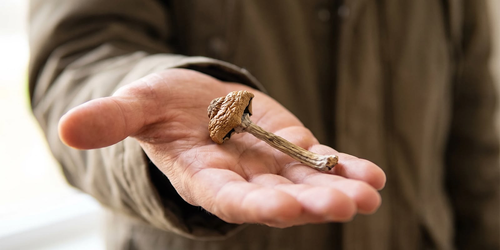 So are magic mushroms the safest recreational drug? So are magic mushroms the safest recreational drug?