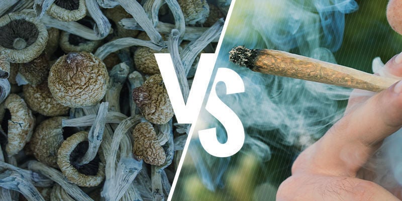 THE EFFECTS OF SMOKING VS EATING SHROOMS