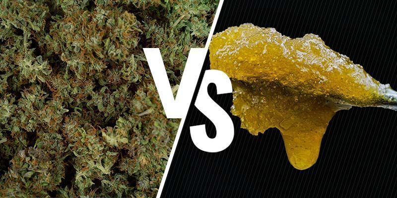 Herb vs concentrates: a note on potency
