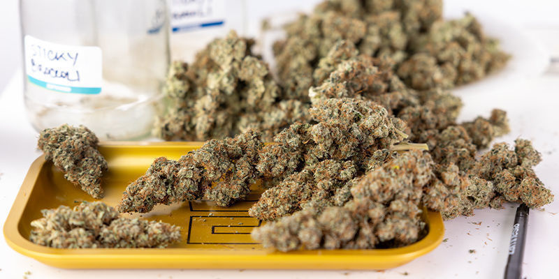 From seed to harvest: Achieving the best indoor yields