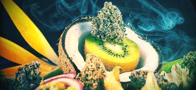 GET A TERPENE BOOST