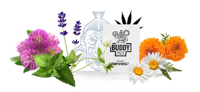 Companion cannabis buddy packs