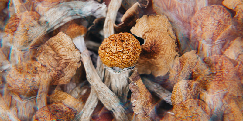 What are entheogens?