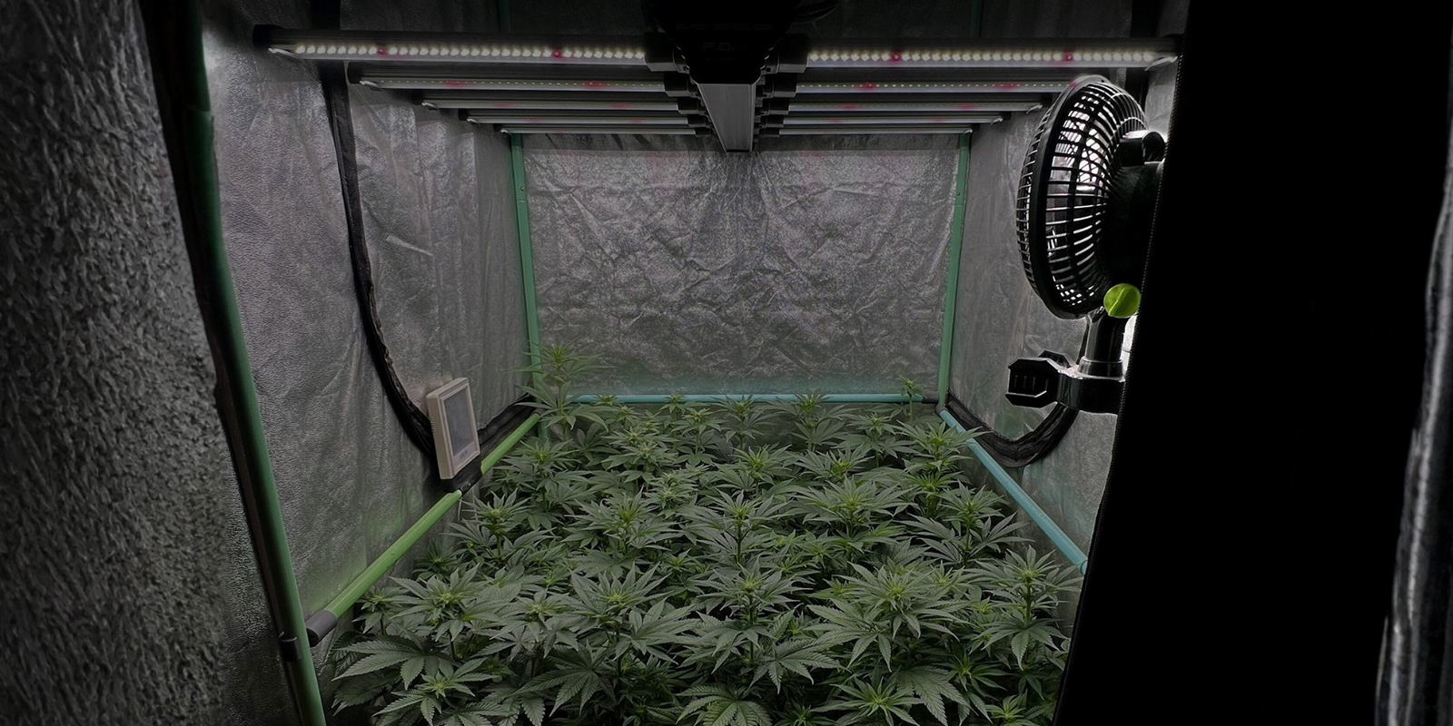 Keep humidity balanced to prevent mould