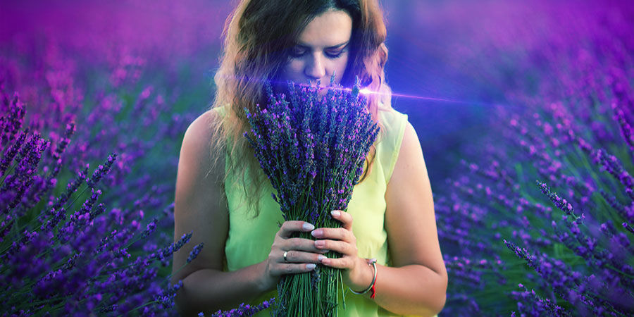 Cannabis & Linalool: Can It Cheer You Up?