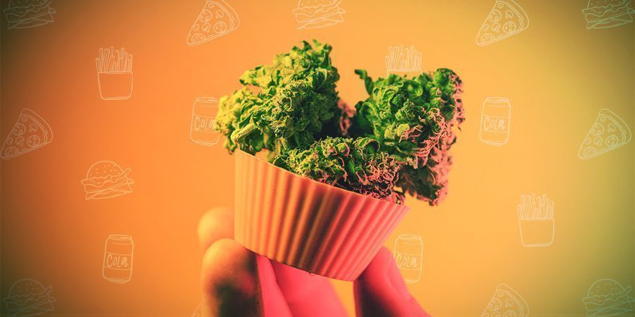 How To Dose Cannabis Edibles