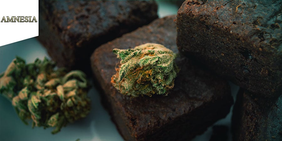 Coffeeshop Amnesia Amsterdam - Cannabis Edibles