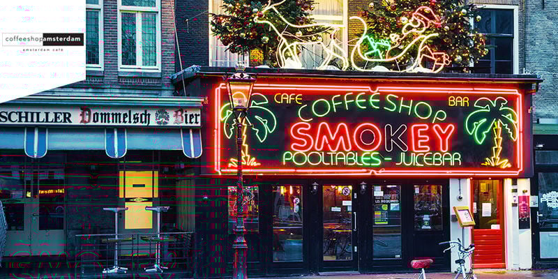 Coffeeshop Amsterdam - Cannabis Edibles