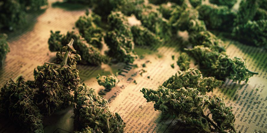 USING CANNABIS BUDS TO MAKE E-LIQUID