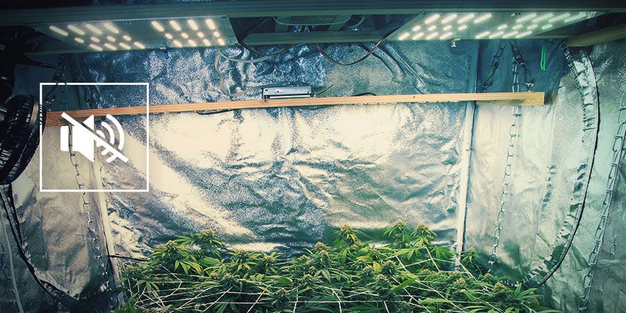Minimising The Noise Of Your Cannabis Grow Room