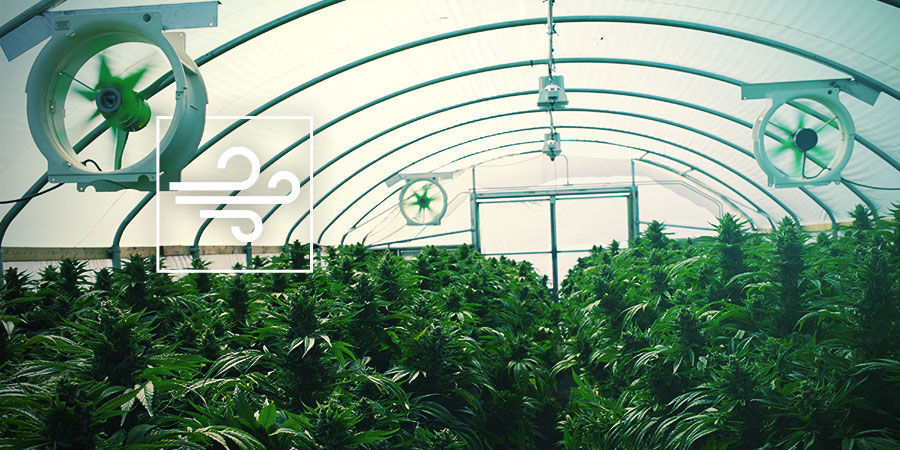 Your Cannabis Grow Room: Ventilation