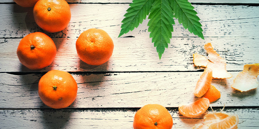 TANGERINE DREAM: FLAVOUR AND EFFECTS