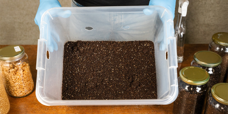 What size container is best for monotub?