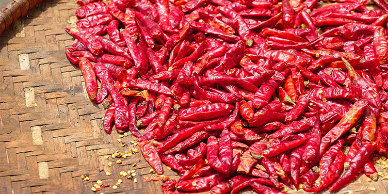 What to do after harvesting